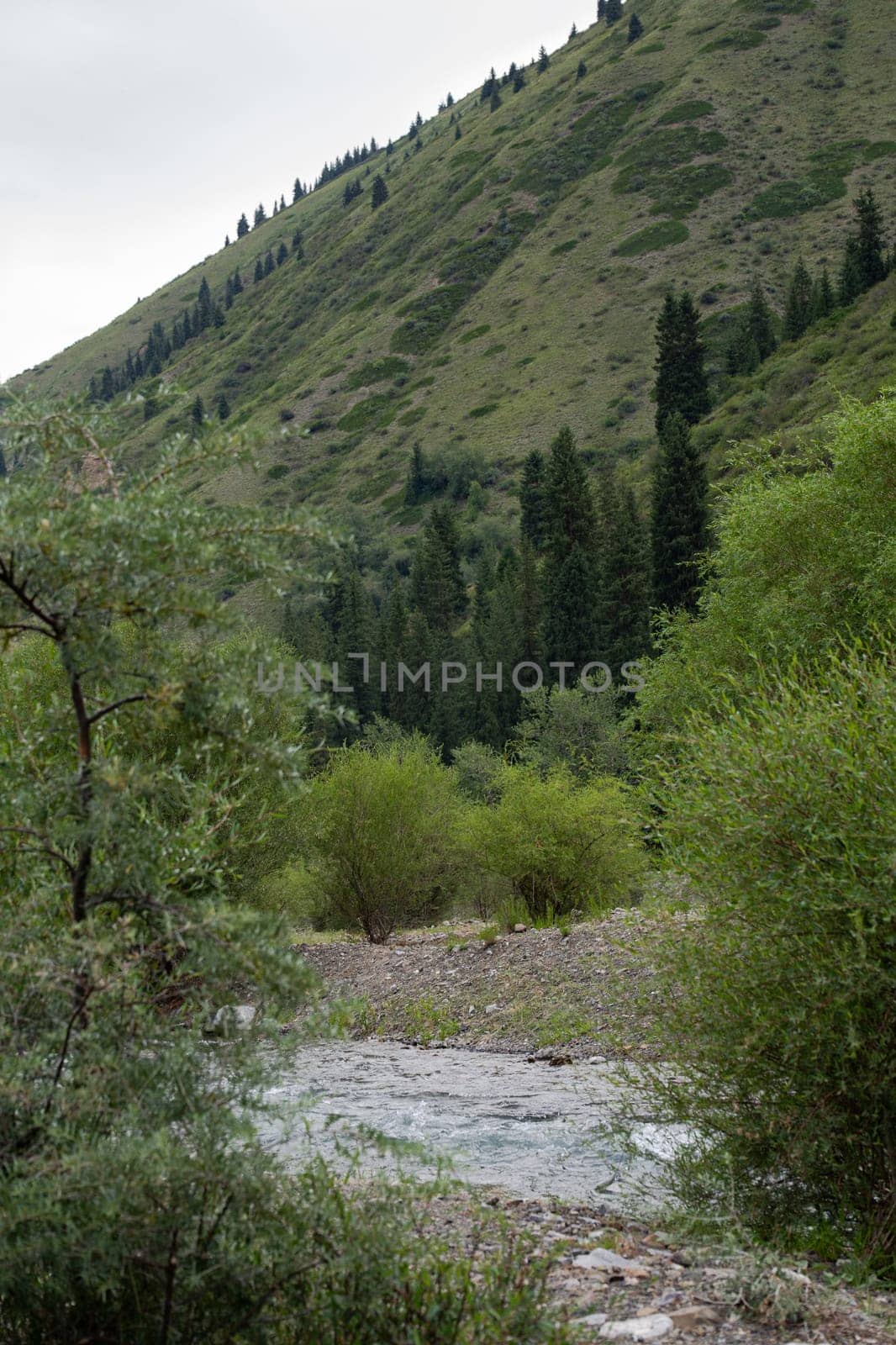 Scenic river with green trees and bushes under forested mountain slope by Pukhovskiy