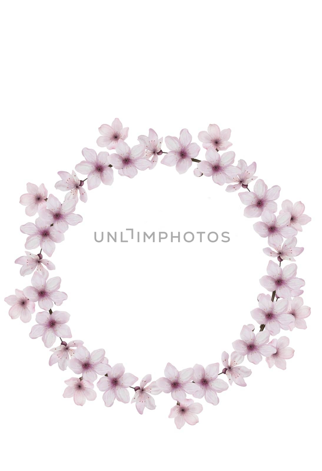 Cherry flowers. Watercolor round frame of sakura flowers. Clip art on white isolated background. Botanical illustration. For the design of cards and invitations for weddings and birthdays. High quality illustration