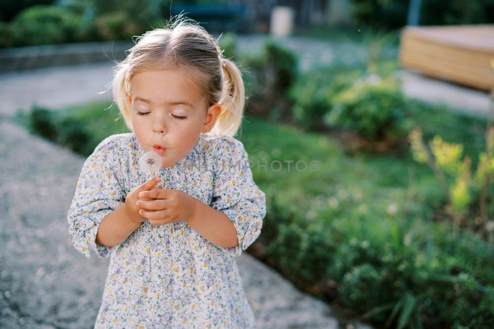 Little girl with closed eyes blows on a dandelion while standing on a path in the garden. High quality photo