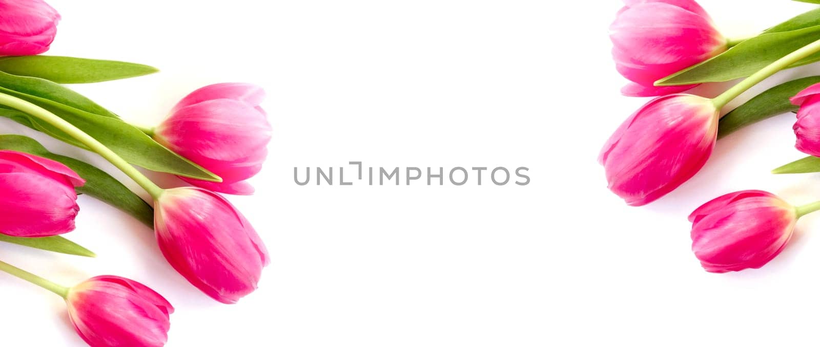 Pink tulip flowers bouquet on white background. Flat lay, top view. Copy space