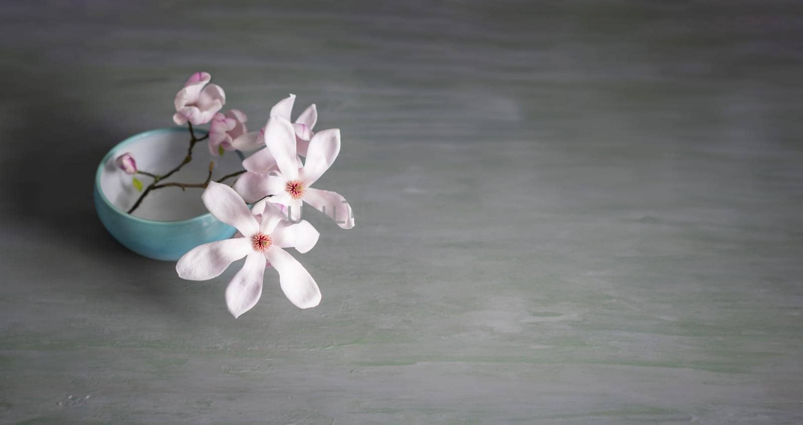 branch of fresh pastel pink magnolia in full bloom in a blue low vase on a gray-green wooden table, Spring still life in a minimalist style, copy space,High quality photo