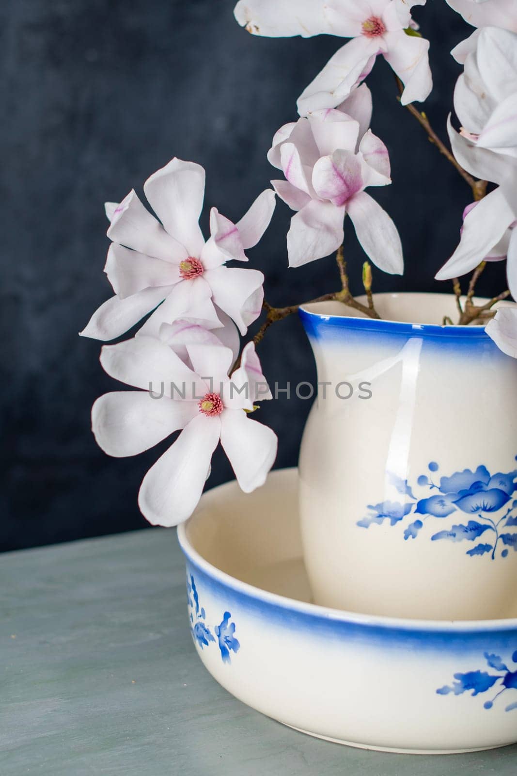 branch of delicate pink magnolia flower in full bloom in vintage ceramic jug for washing on dark background by KaterinaDalemans
