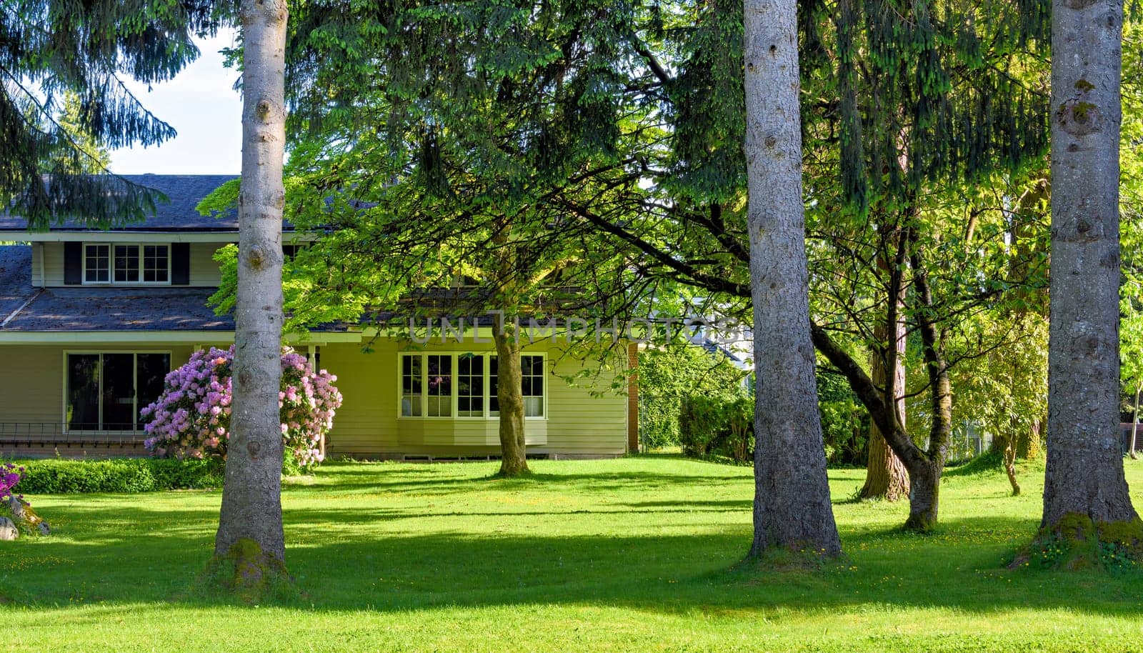 Family residential house with big green lawn and tree trunks in front.