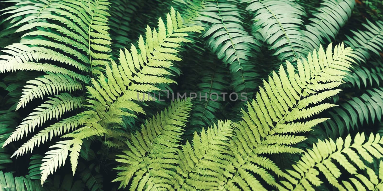 Elegance of nature. lush green botanical backdrop filled with different types of ferns, leaves, and foliage. Panorama