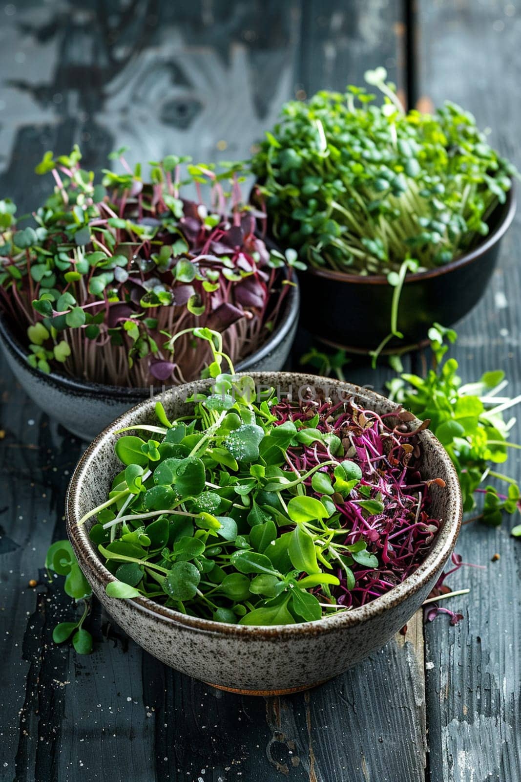 Fresh microgreens on a plate, healthy eating concept, nature, Generative AI,