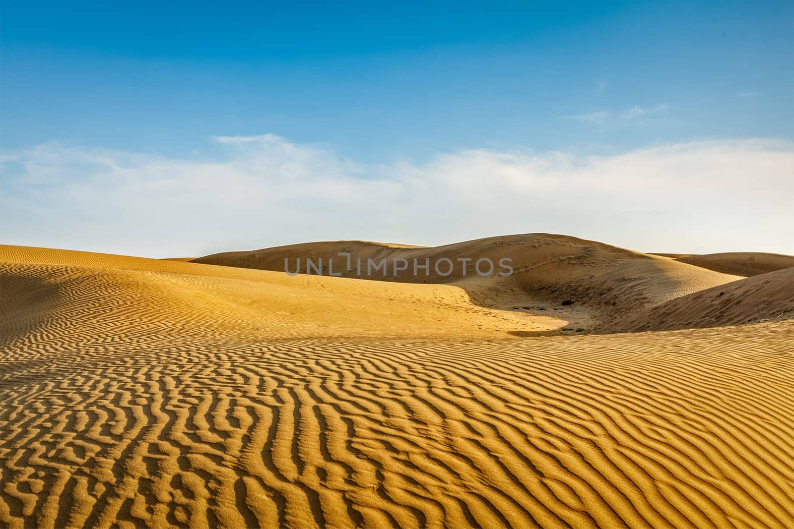 Dunes of Thar Desert, Rajasthan, India by dimol