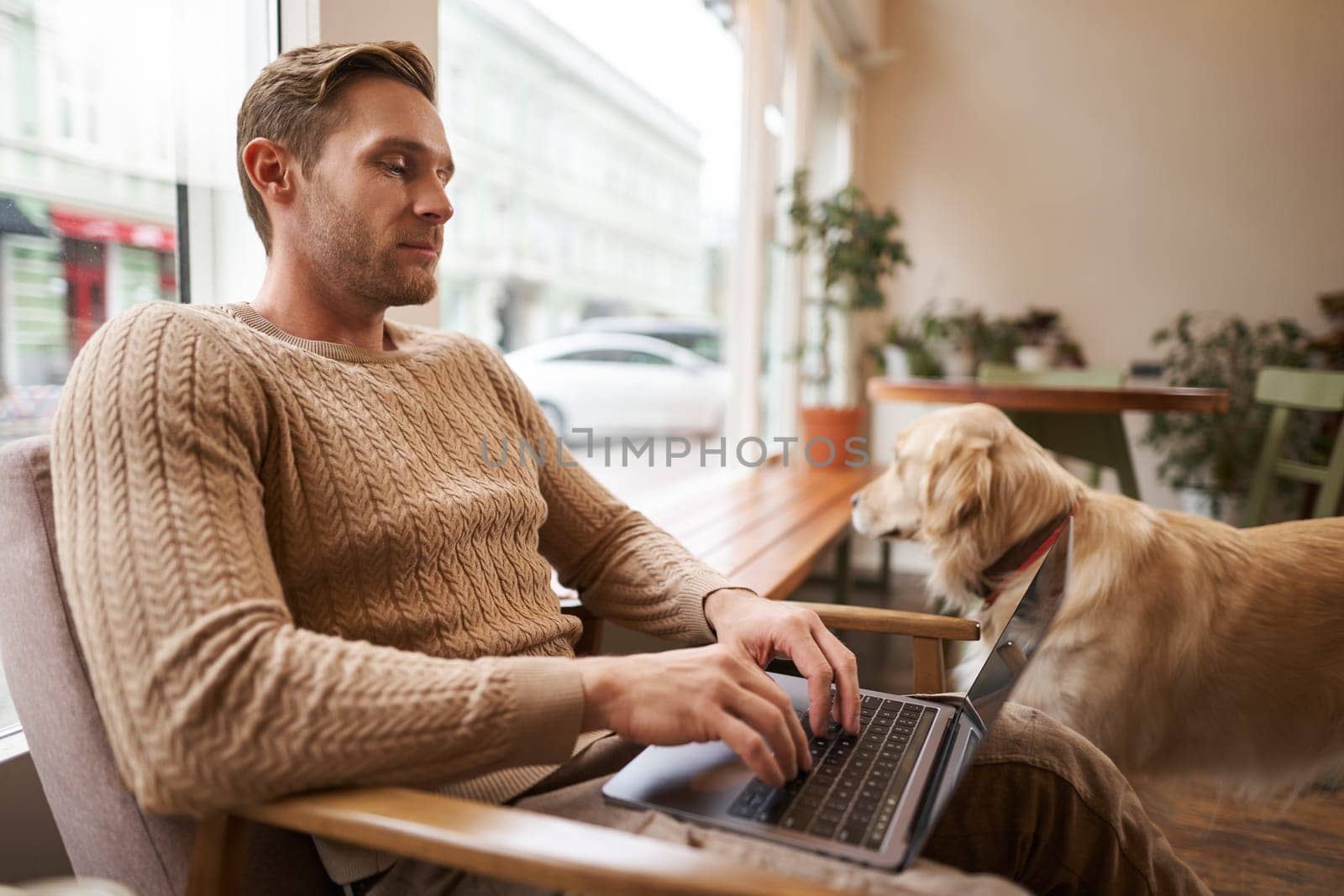 Handsome young man working in cafe with a dog, sitting on chair and using laptop, petting his golden retriever in animal-friendly co-working space.