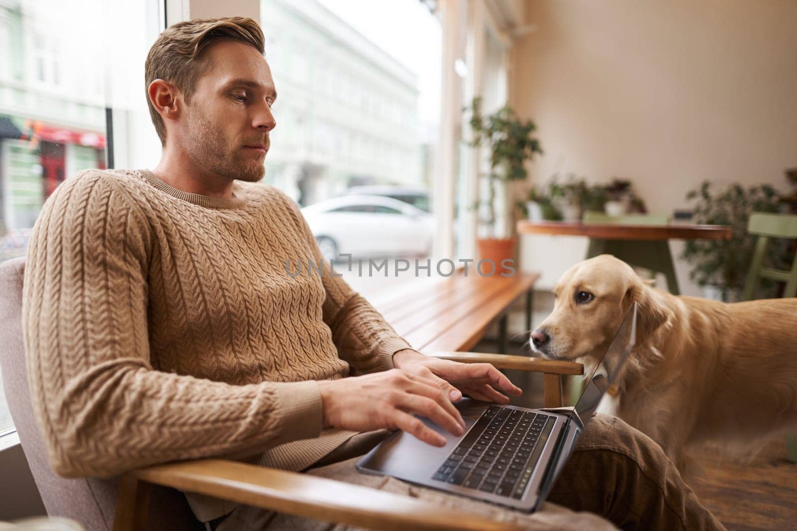 Portrait of young working man sitting in cafe, typing on keyboard while a dog looking at him. Concentrated coffee shop visitor doing his job online, sitting near window in co-working space.