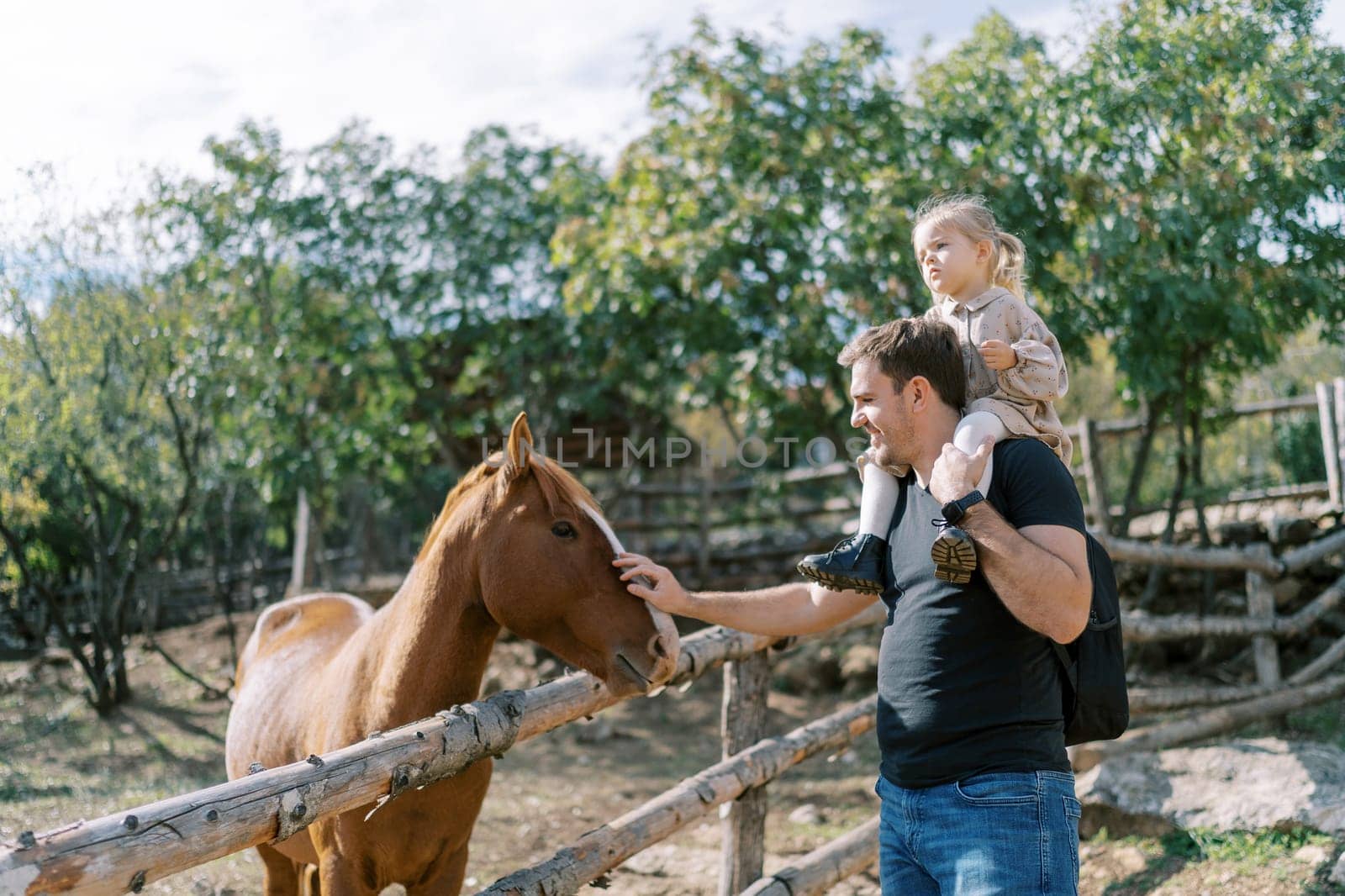 Dad with a little girl on his shoulders pets a bay horse in a paddock in the park. High quality photo