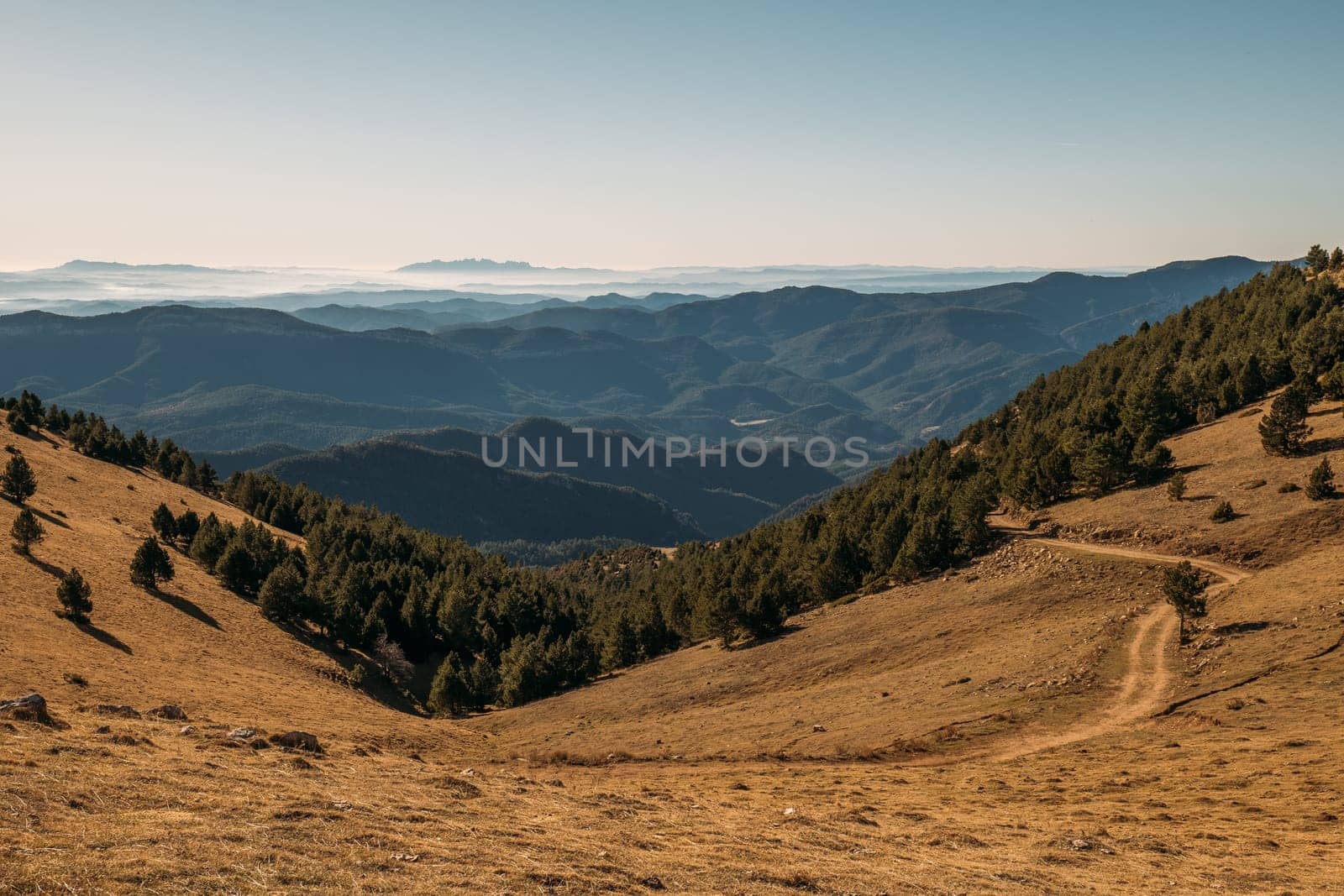 Gentle Mountain Slopes with Scattered Trees Under a Clear Sky by apavlin