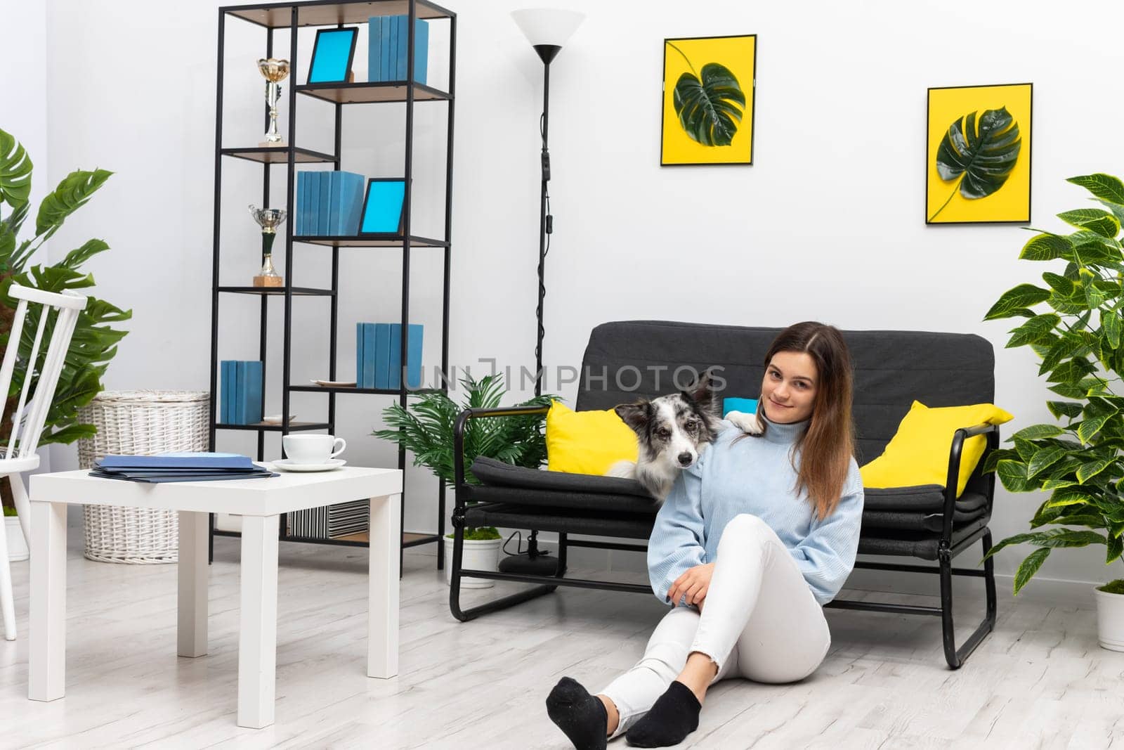 A happy teenage girl is sitting on the floor of her home in the room while the dog is lying on the sofa and her paws rest on her shoulder. Purebred Border Collie dog in shades of white and black, and long and fine hair. Living room in a modern styling.