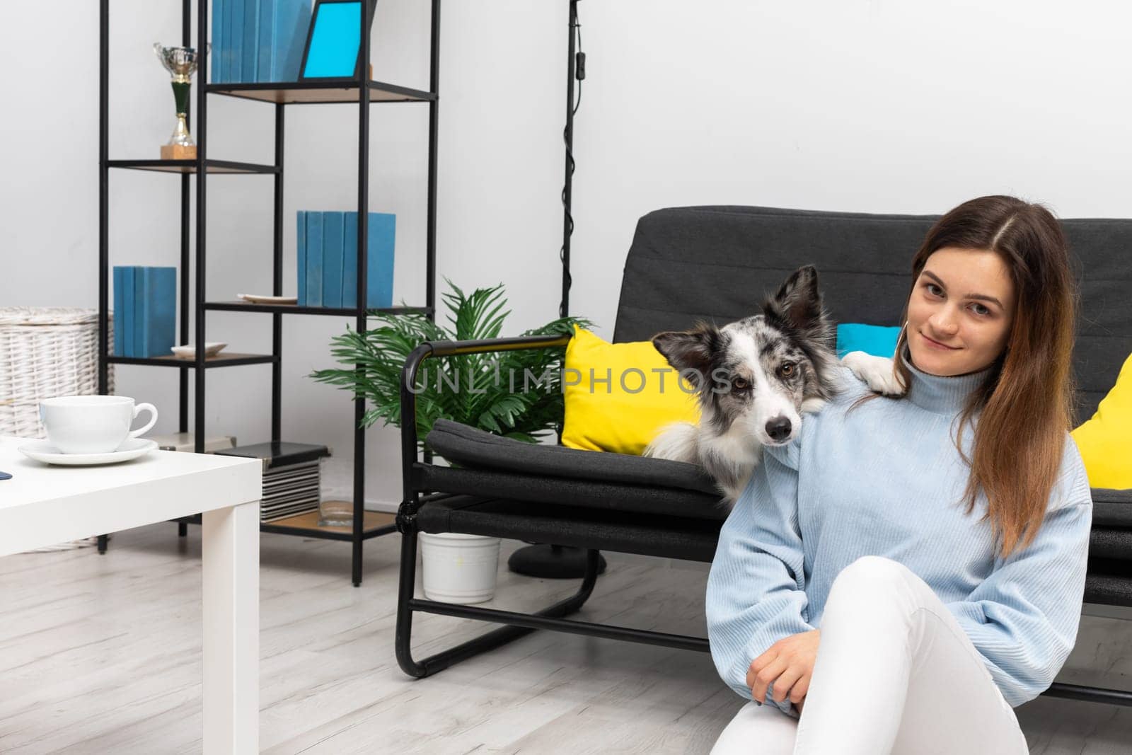 Satisfied teenage girl sits on the floor in the room and the dog lies on the sofa and rests his paws on her shoulder. The room of the living room in a modern styling. Purebred Border Collie dog in shades of white and black, and long and fine hair.