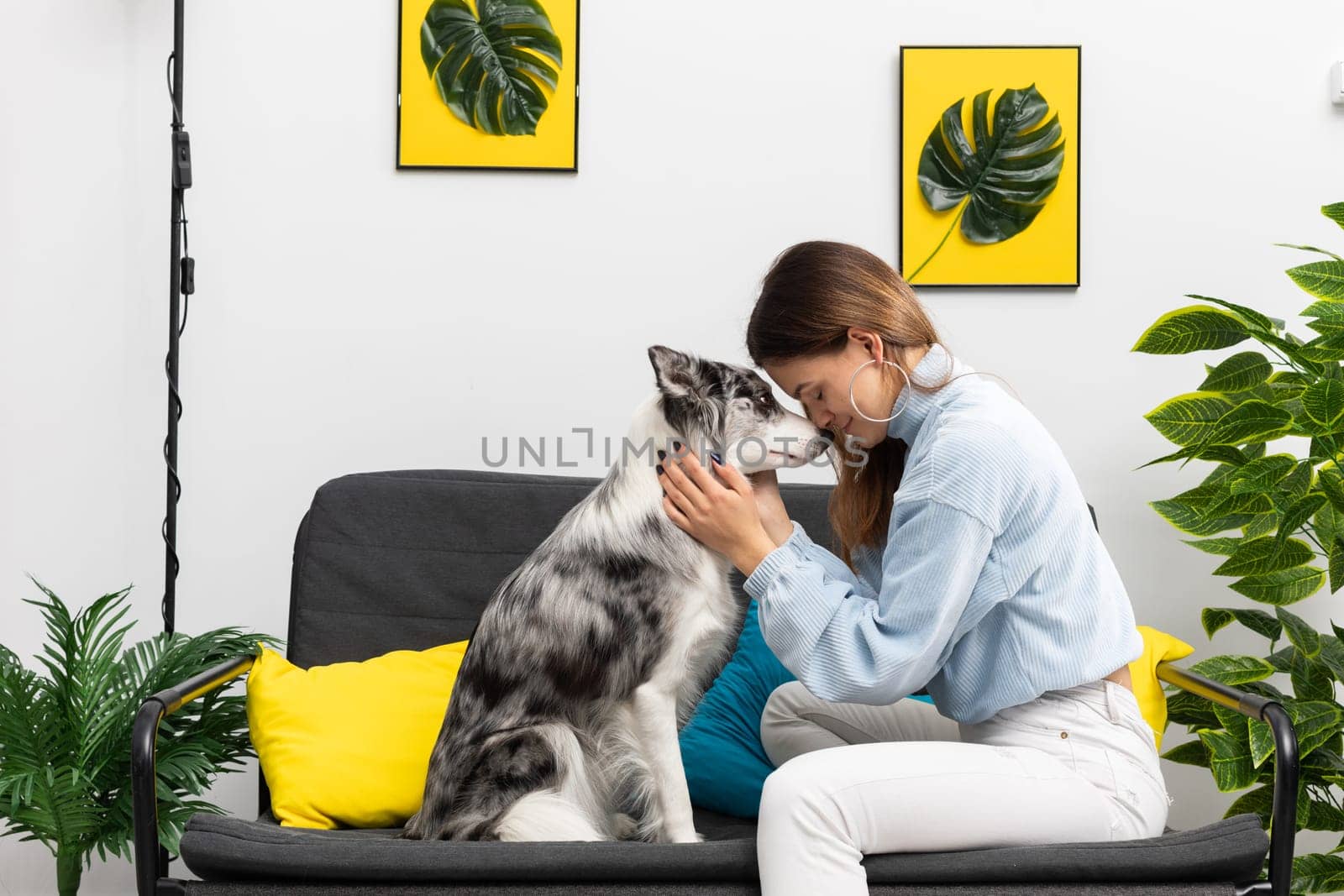 The great friendship that connects the teenager and the dog allows them special moments to hug each other's heads. Purebred Border Collie dog in shades of white and black, and long and fine hair. Living room in a modern styling.