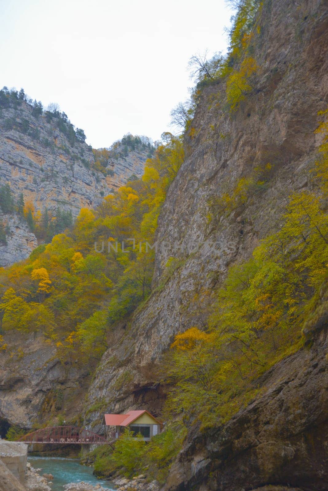 Scenic view of trees and river in the mountains in autumn by Ekaterina34