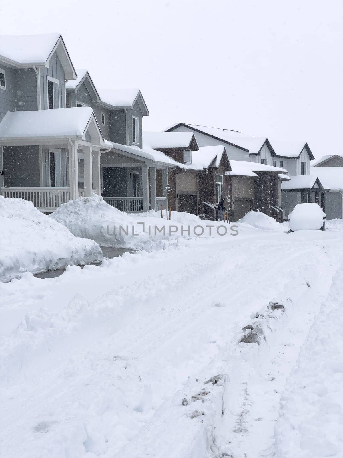 The scene depicts a suburban tranquility with homes lining a street blanketed in snow, punctuated by a cleared path that weaves through the winter wonderland. The overcast sky promises more snow, creating a hushed atmosphere over the neighborhood.