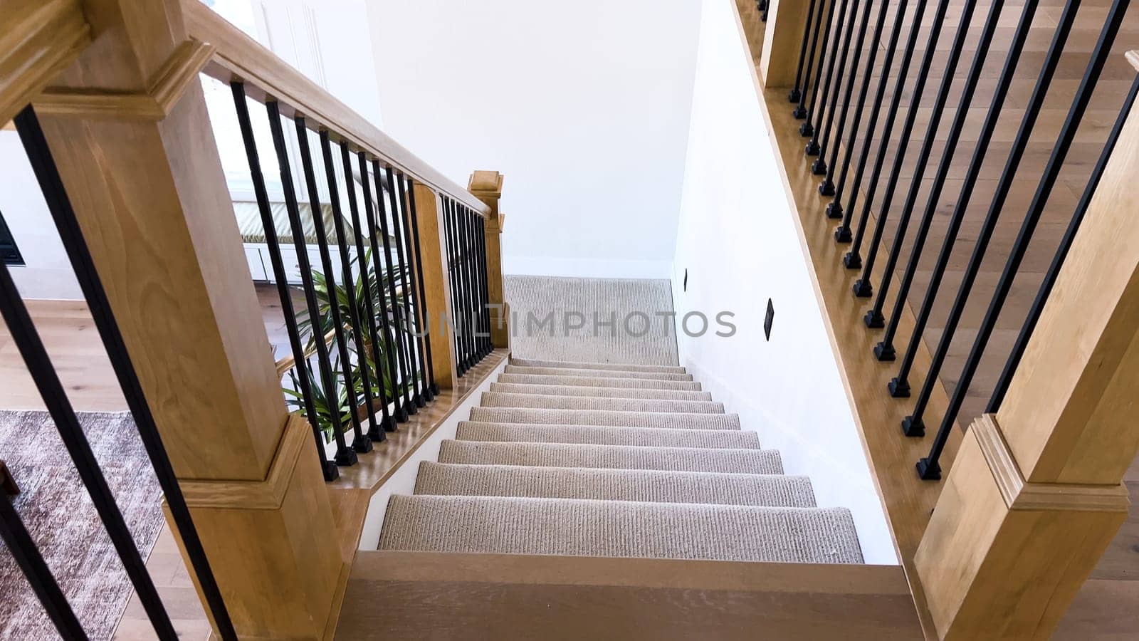 Modern Home Interior with Plush Carpeted Staircase by arinahabich