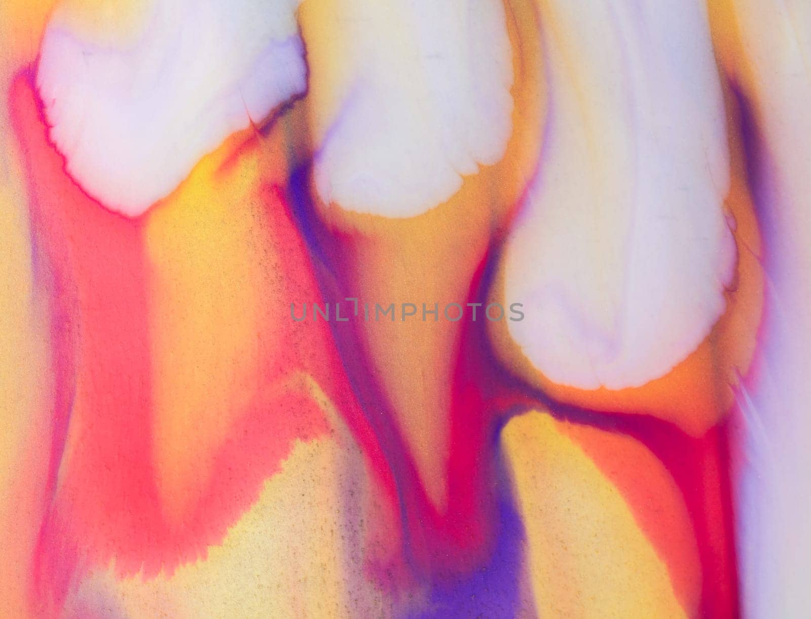Red and blue fluid wave. Duotone compositions with gradient flow shape. Innovation modern background. Abstract Fluid Acrylic Painting. Liquid background.