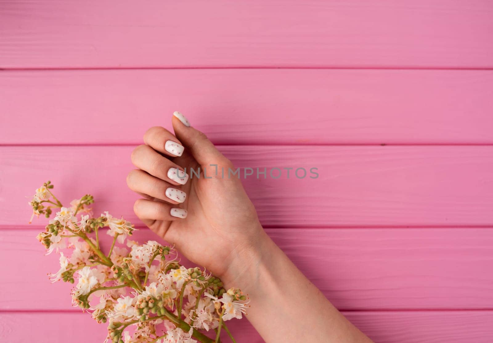 Summer abstract background mockup template free copy space for text pattern sample top view above pink wooden board. blank empty area for inscription woman hand manicure hold blossom flowers chestnut