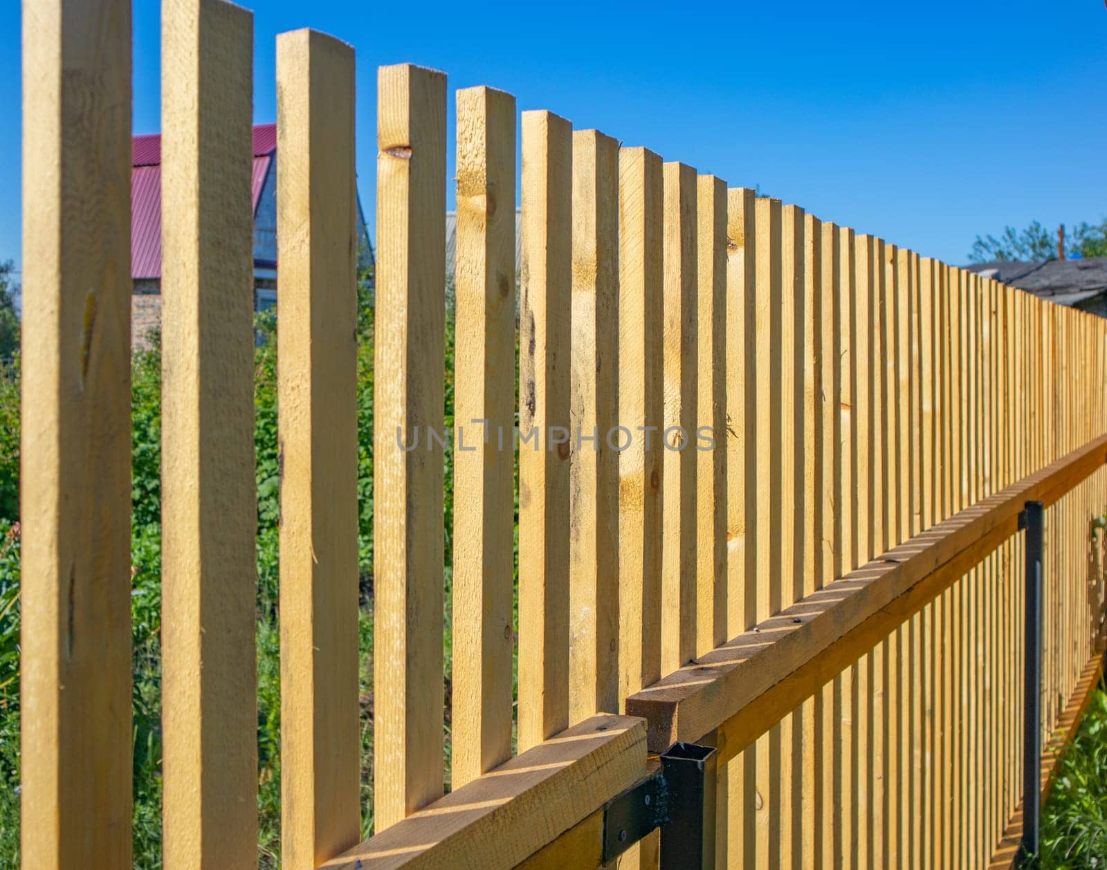 Close-up of a new wooden picket fence in the backyard of a country house, a sunny summer day by claire_lucia