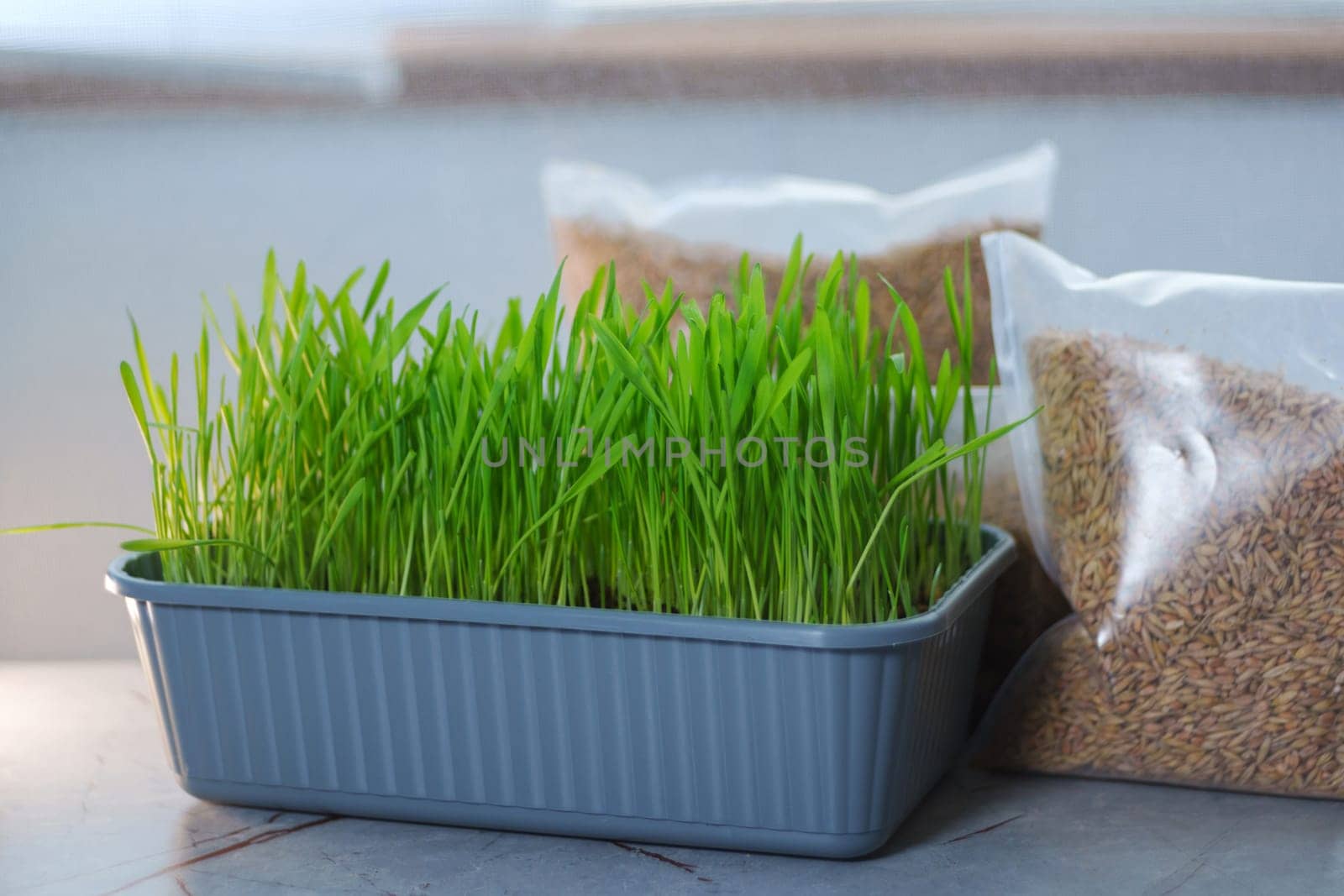 Bags filled with fresh grass, possibly for cats or growing microgreens, are placed side by side. by darksoul72