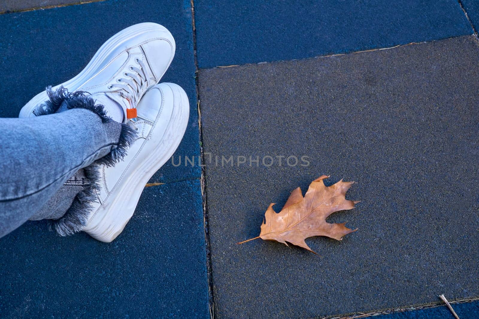 Female legs in blue jeans and white sneakers on autumn blue tiles by jovani68
