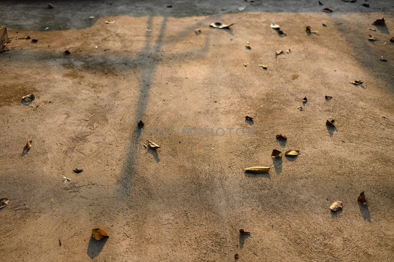 Dry brown leaves on grey concrete floor. Backgrounds The dry leaves on the cement floor.