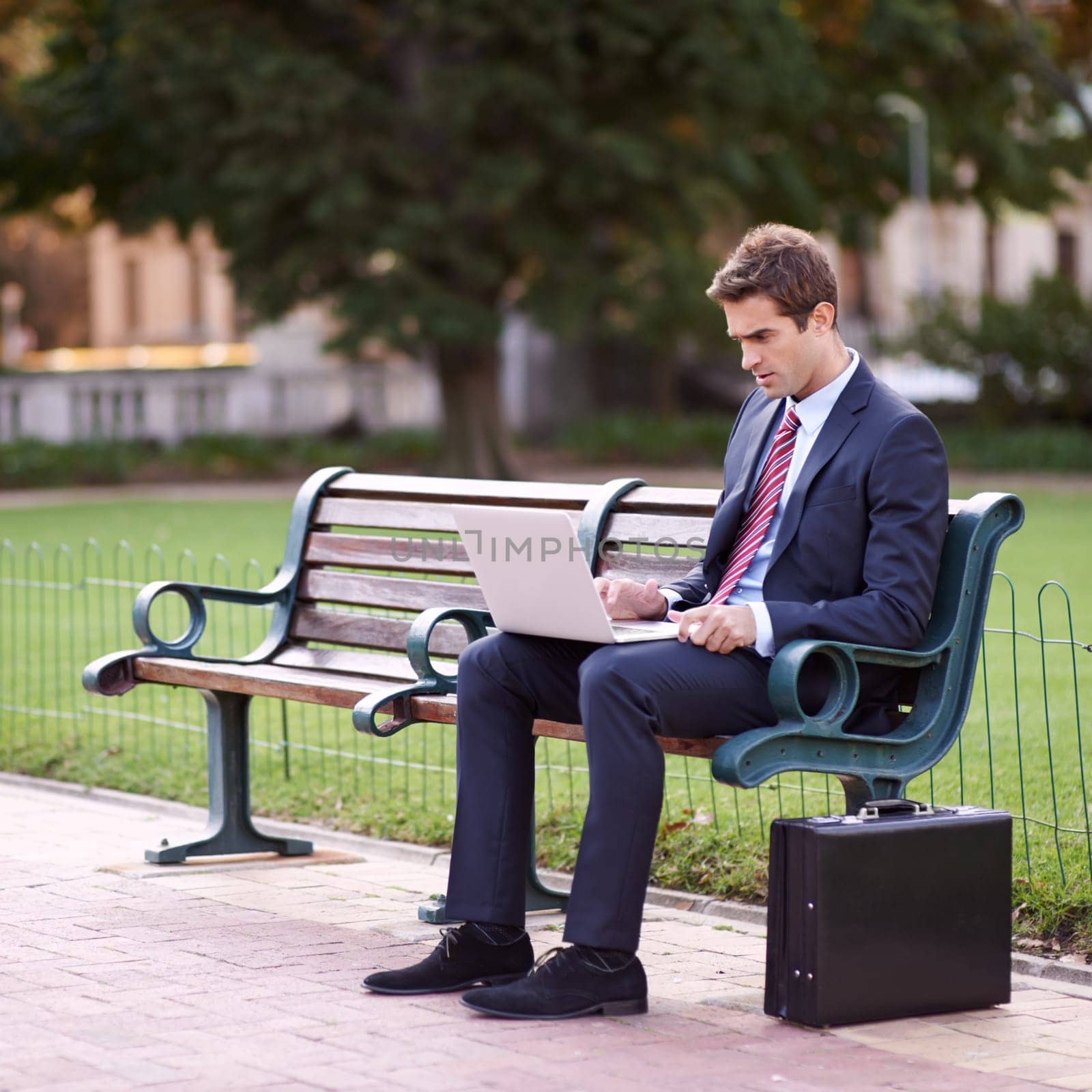 Park, bench and business man with a laptop, typing and connection with deadline or online reading. Person, employee or entrepreneur with a computer or thinking with check project schedule or internet.