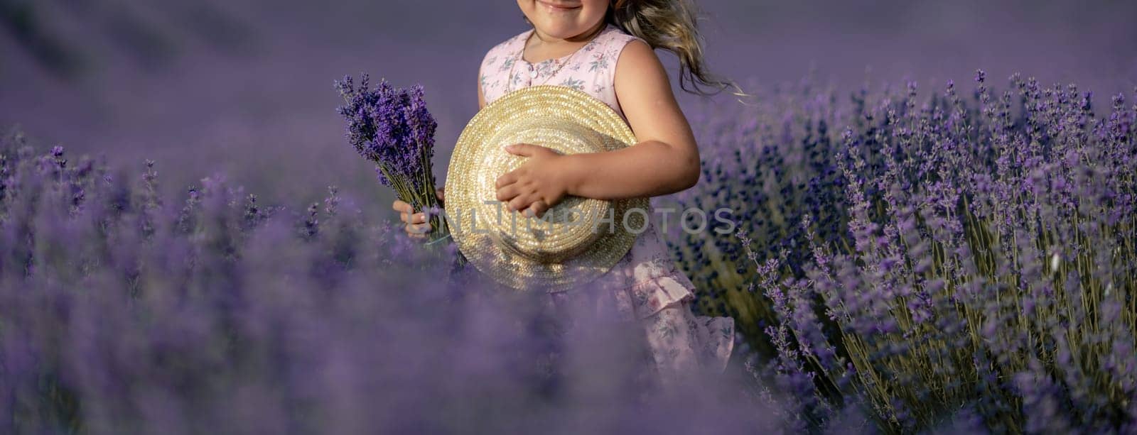 girl lavender field banner in a pink dress holds a bouquet of lavender on a lilac field. Aromatherapy concept, lavender oil, photo shoot in lavender.