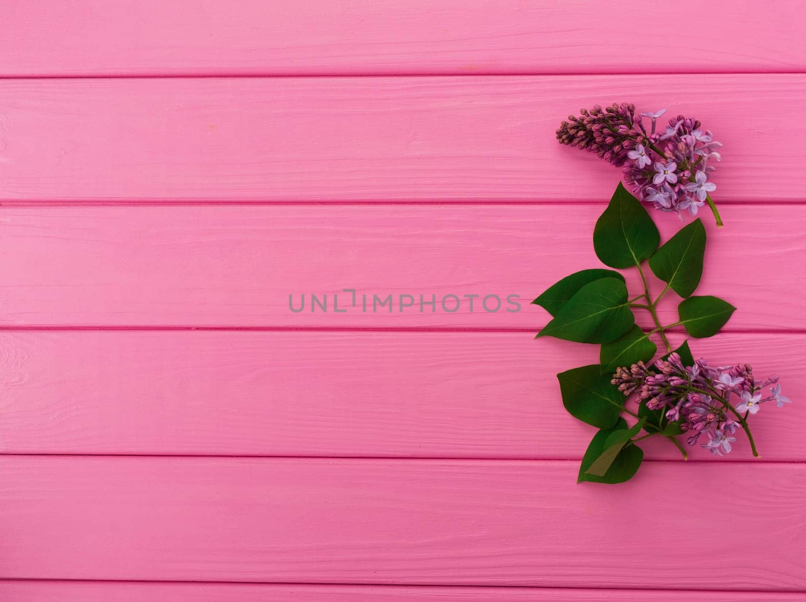 Summer abstract background mockup template free copy space for text pattern sample top view above on pink wooden board. blank empty area for inscription. in corners flowers borders frames lilac bloom