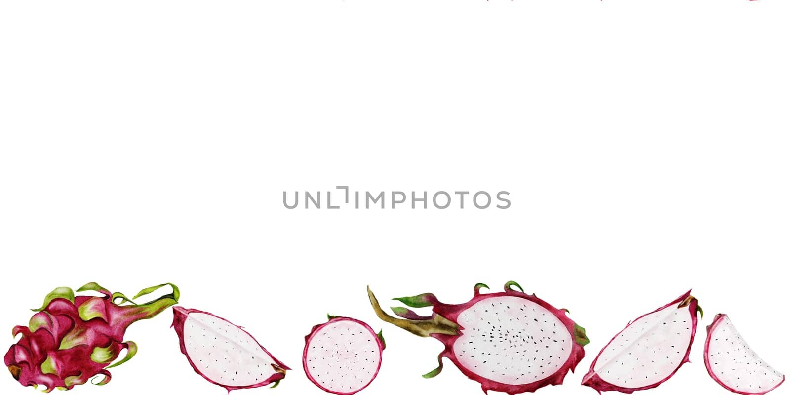 Pitaya exotic fruit watercolor frame on isolated white background. Vibrant illustration of dragon fruit. Food drawing hand drawn Thai food element. To design a menu of tropical dishes and cocktails. High quality illustration