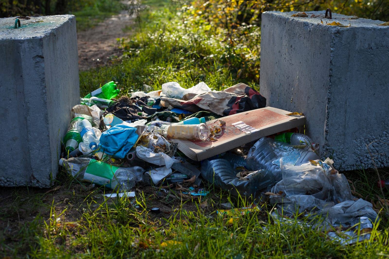 nature pollution and bottles on the grass in the park