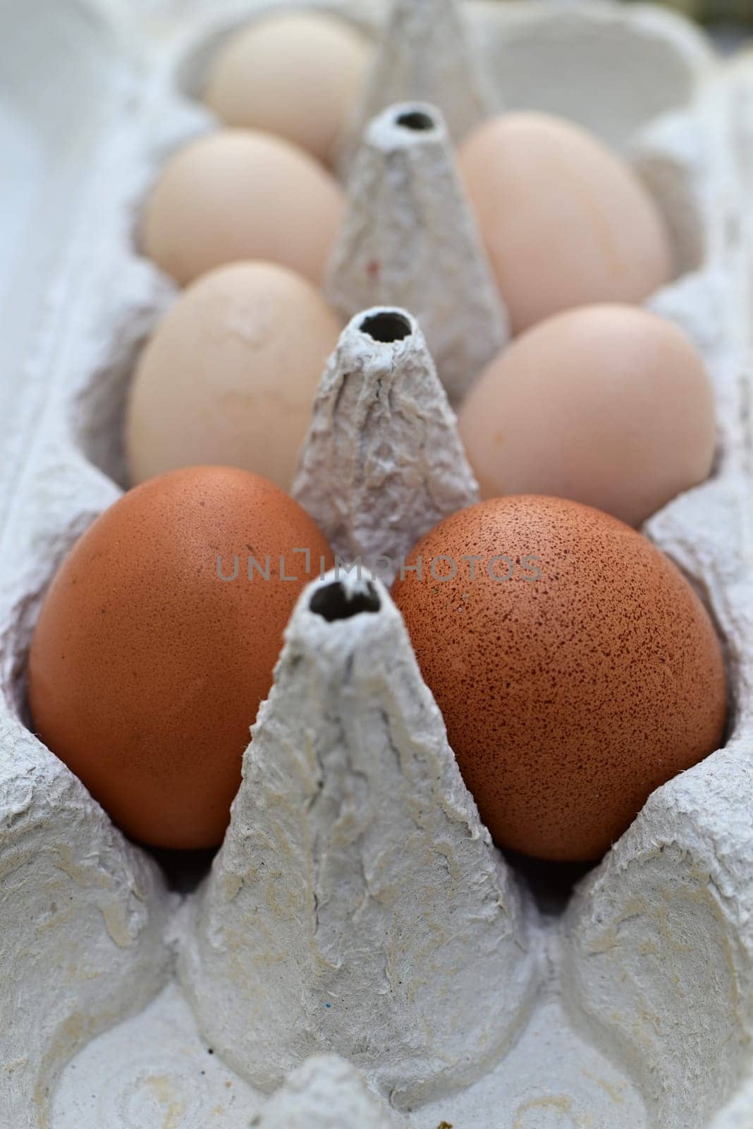 Brown and white eggs in an egg carton by Luise123