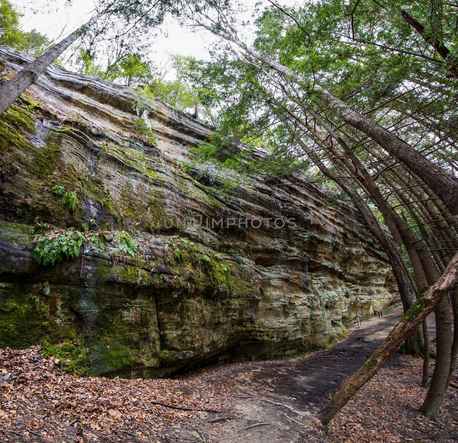 Views at Whispering Cave, Hocking Hills State Park, Ohio