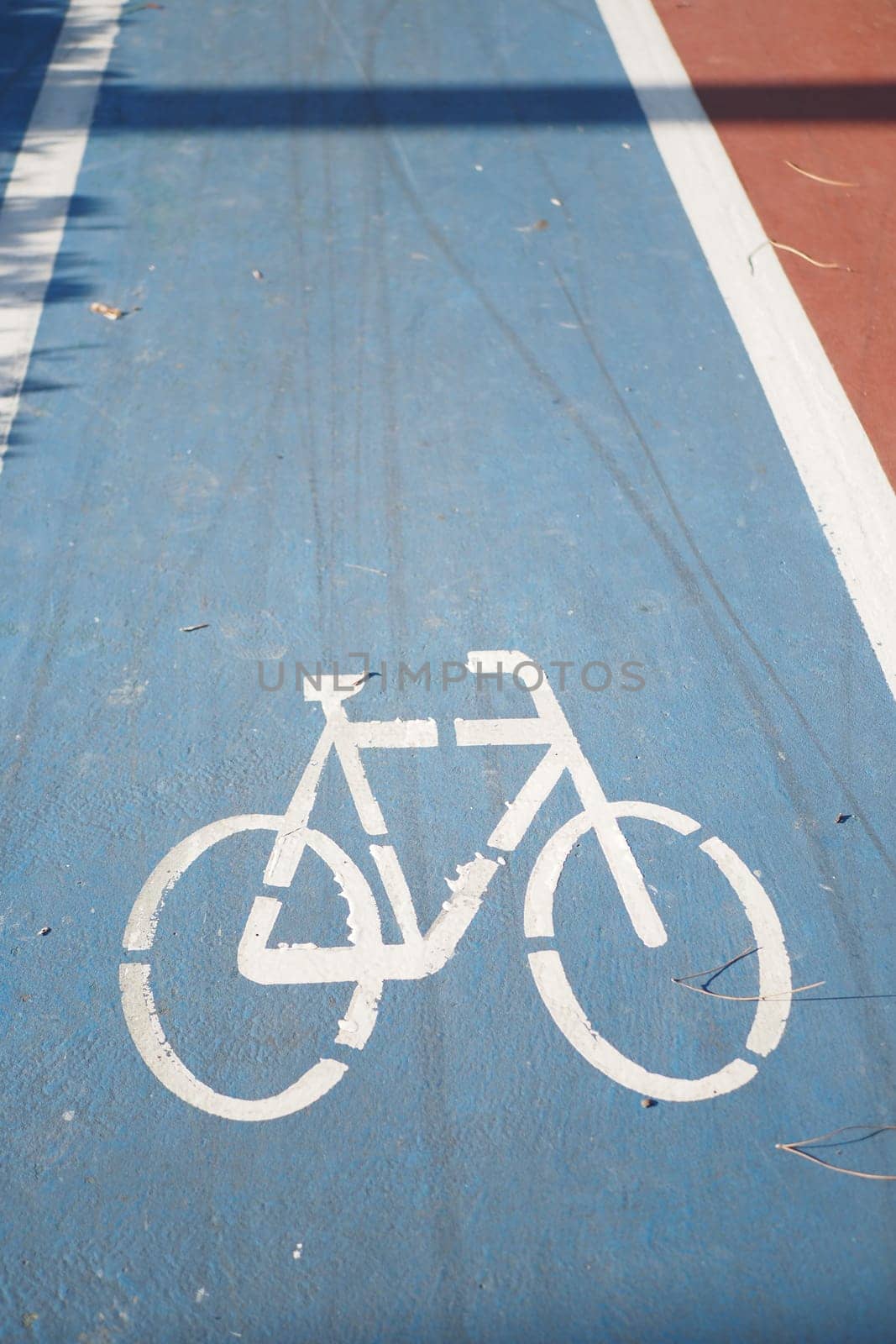 Bicycle symbol on the blue road surface,