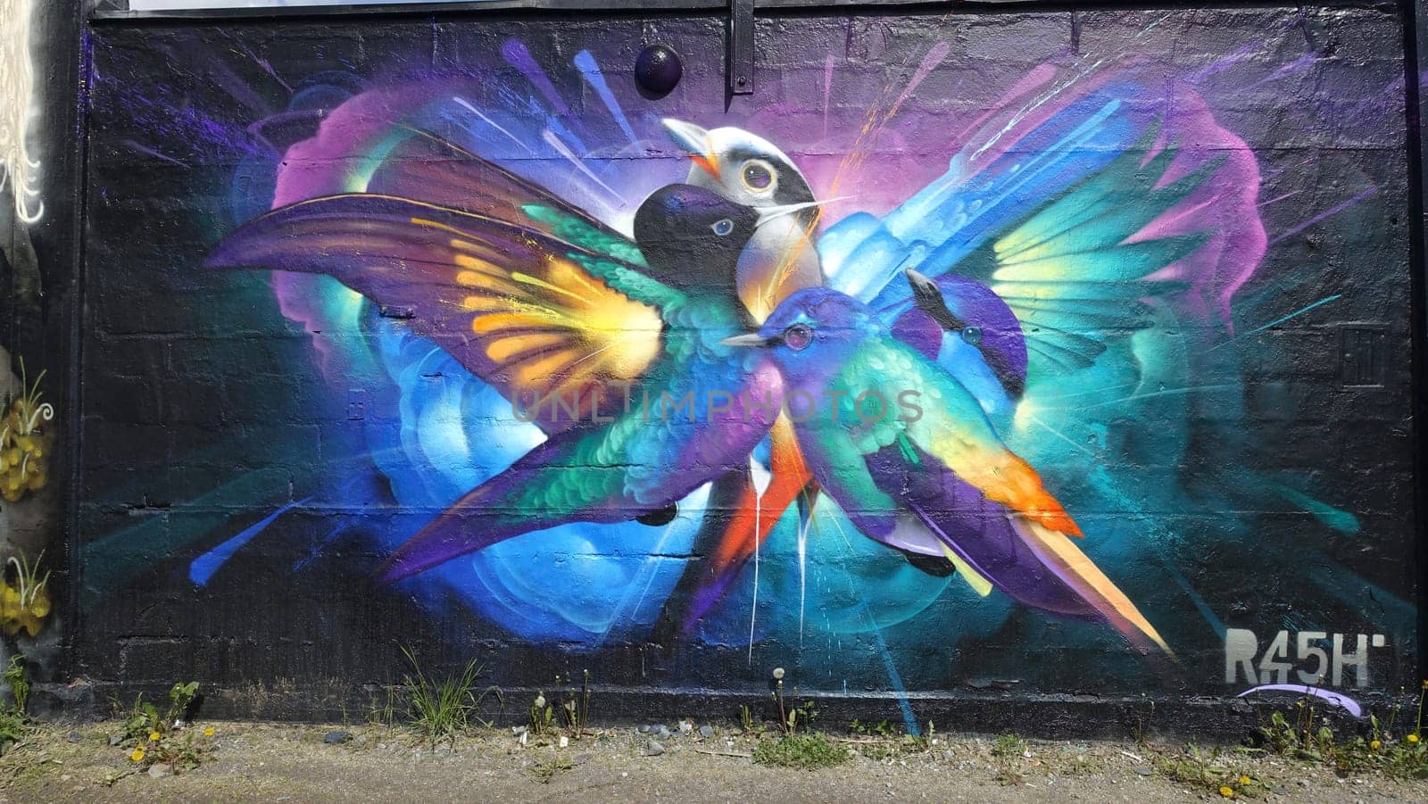 Stockholm, Snosatra, Sweden, May 23 2021. Graffiti exhibition on the outskirts of the city. Birds.