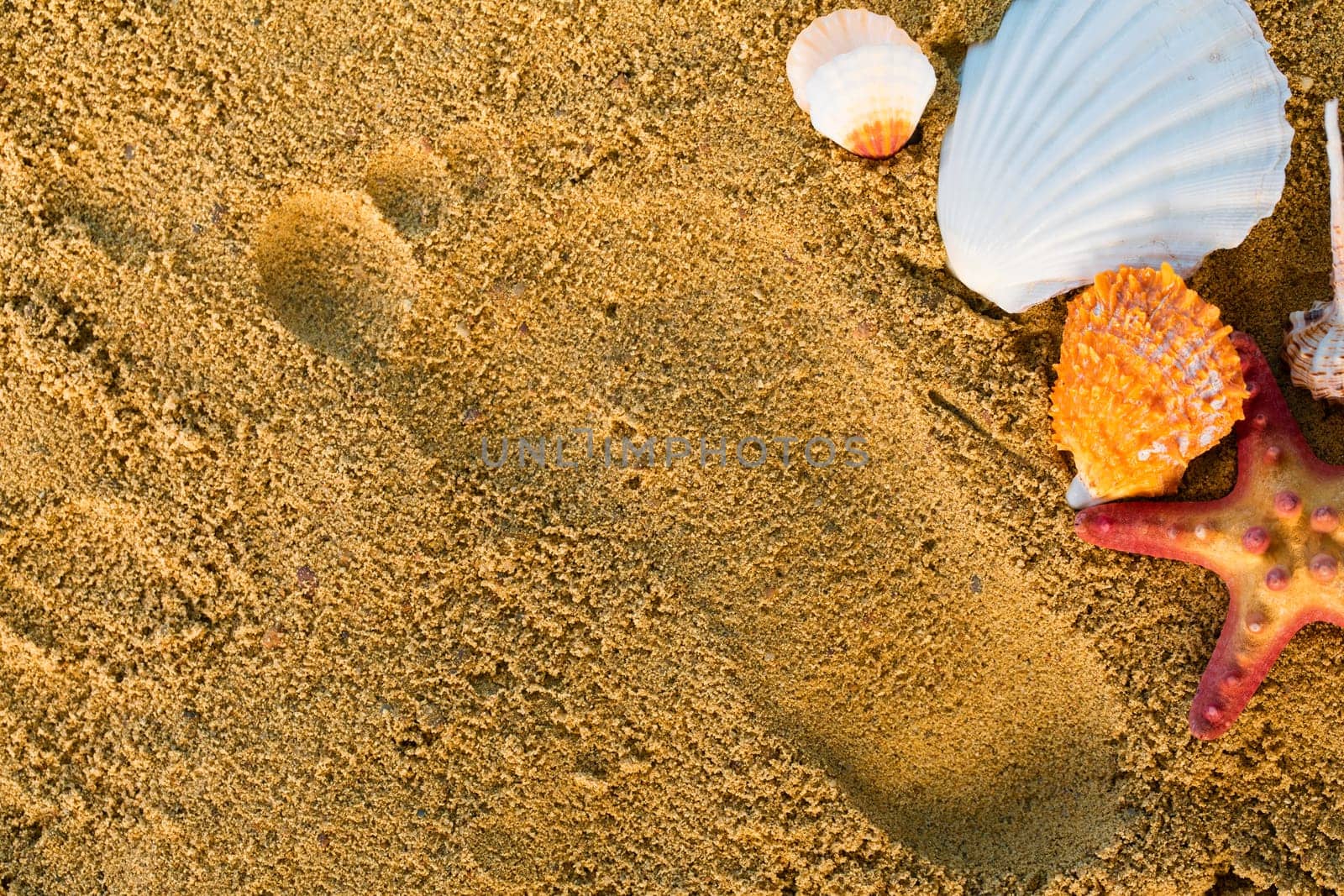 Imprinted footprint on a beach full of sand and next to it are shells and a starfish. by fotodrobik