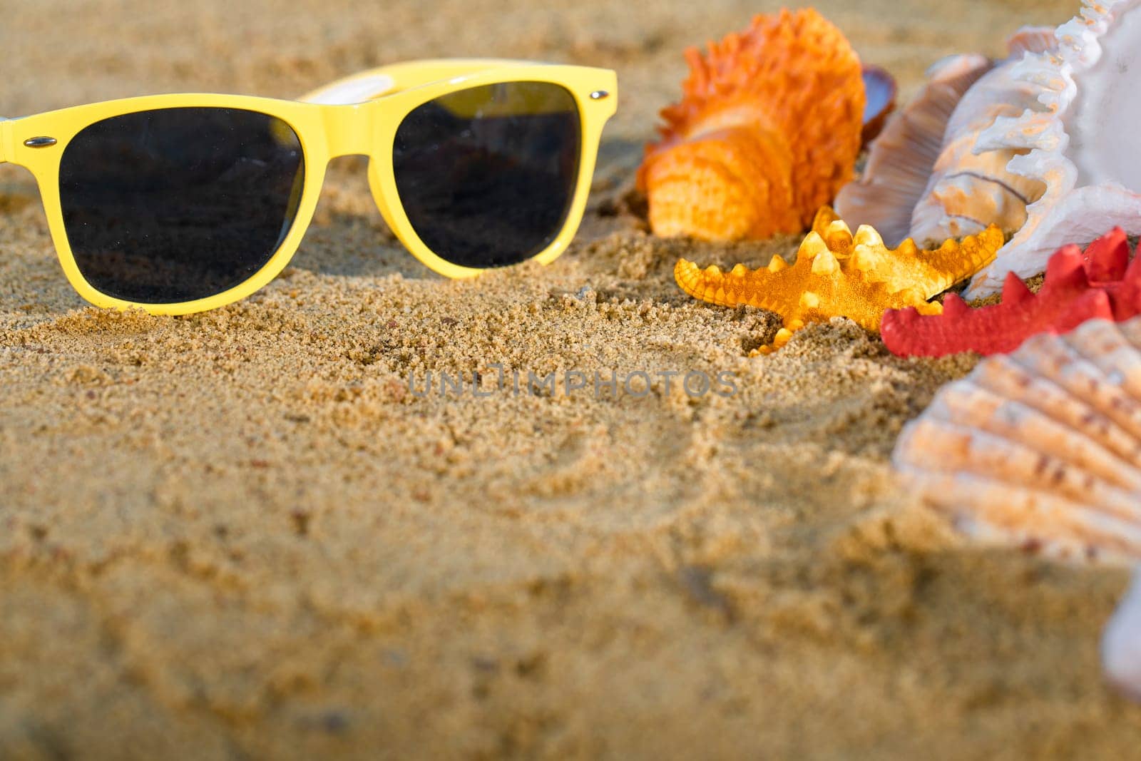 Sunglasses lie on the marker pen. Sea beach with wet sand. Starfish and shells lie on the seashore.