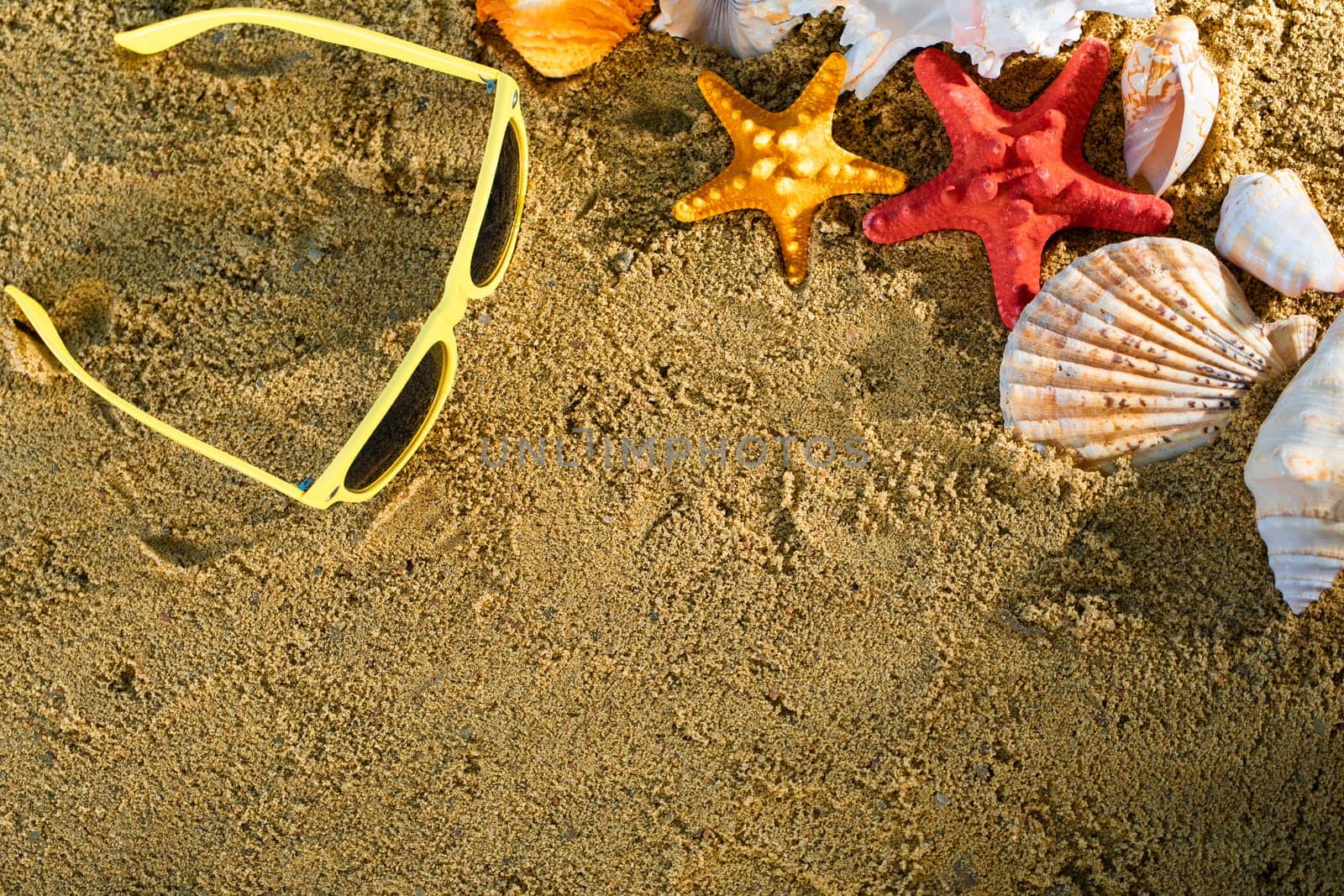 Sunglasses lie on the marker pen. Sea beach with wet sand. Starfish and shells lie on the seashore.