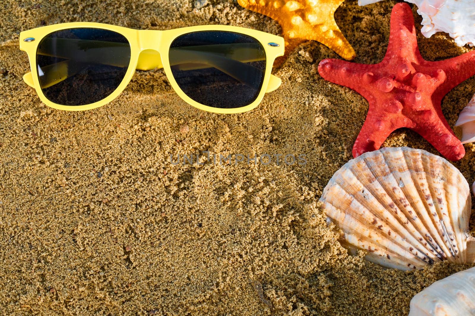 Sunglasses lie on the sea beach among shells and starfishes on a beautiful holiday day. by fotodrobik