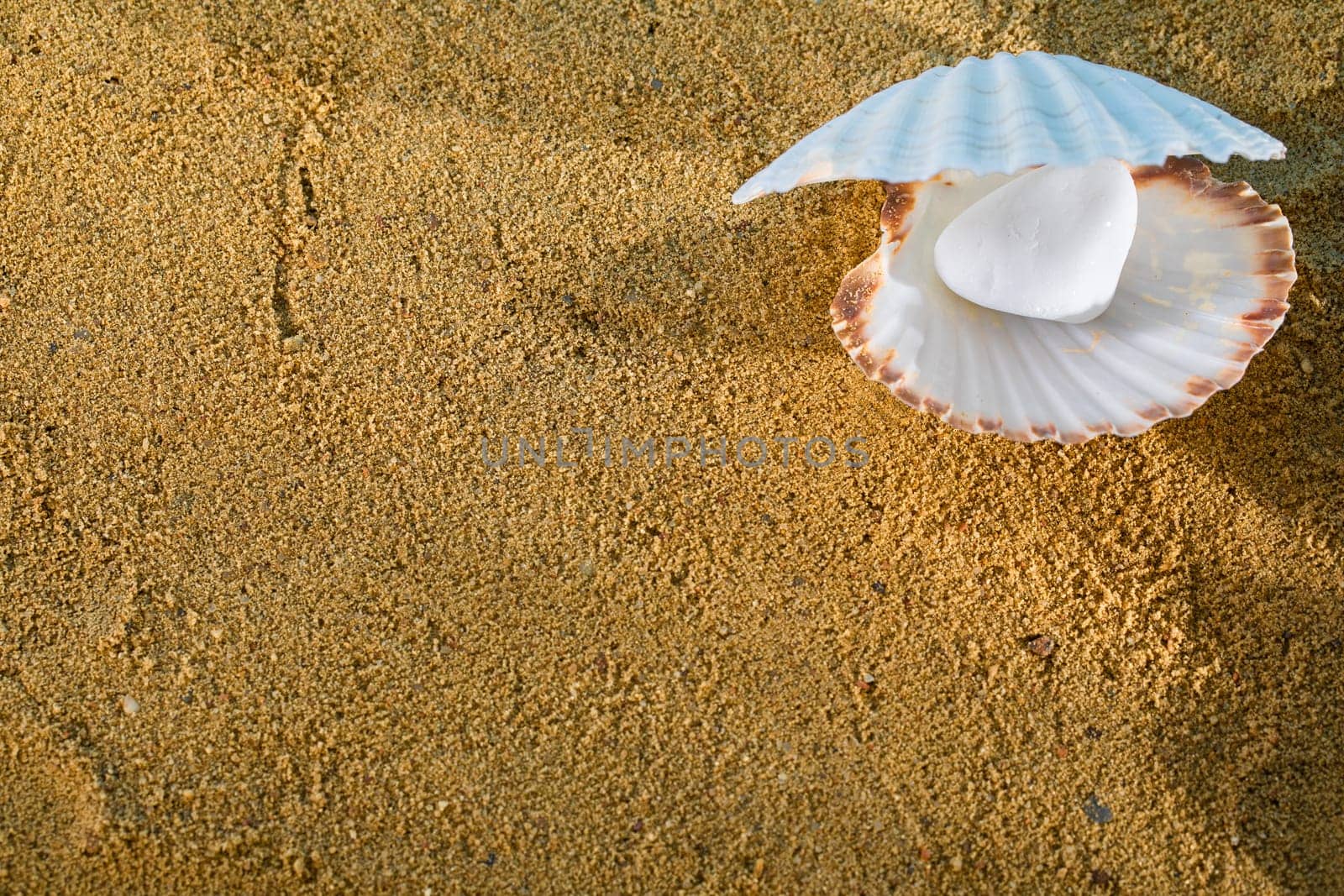 A shiny white pearl. Large clam shell. Yellow wet sea sand. Sandy coast.