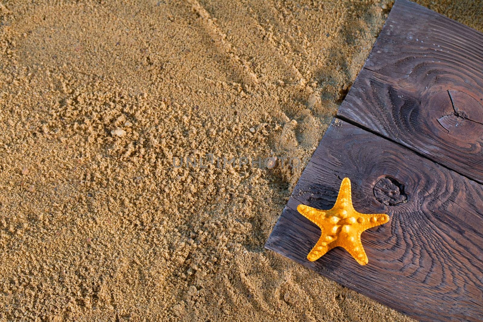 The starfish lies on the deck board on the sandy beach of the sea coast on a summer day. by fotodrobik