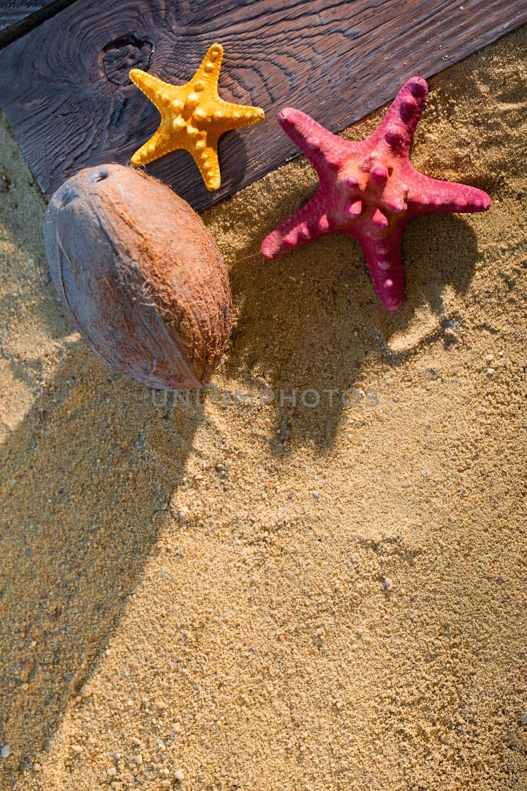 Coconut lies on a wooden board next to the starfish and among the sea sand on the sunny shore. by fotodrobik