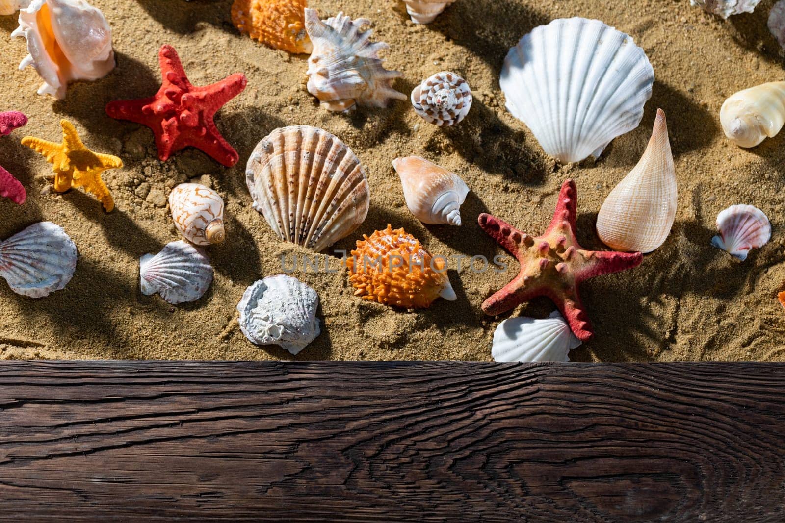 Solid wooden platform. A sandy beach where empty snail shells lie. Sea shore.