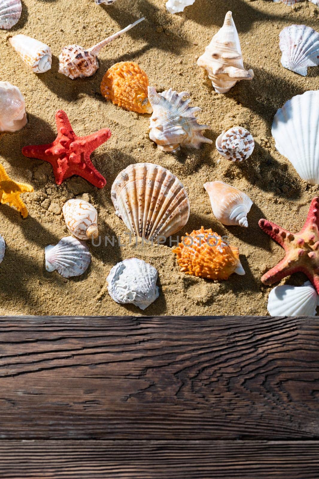 Solid wooden platform. A sandy beach where empty snail shells lie. Sea shore.