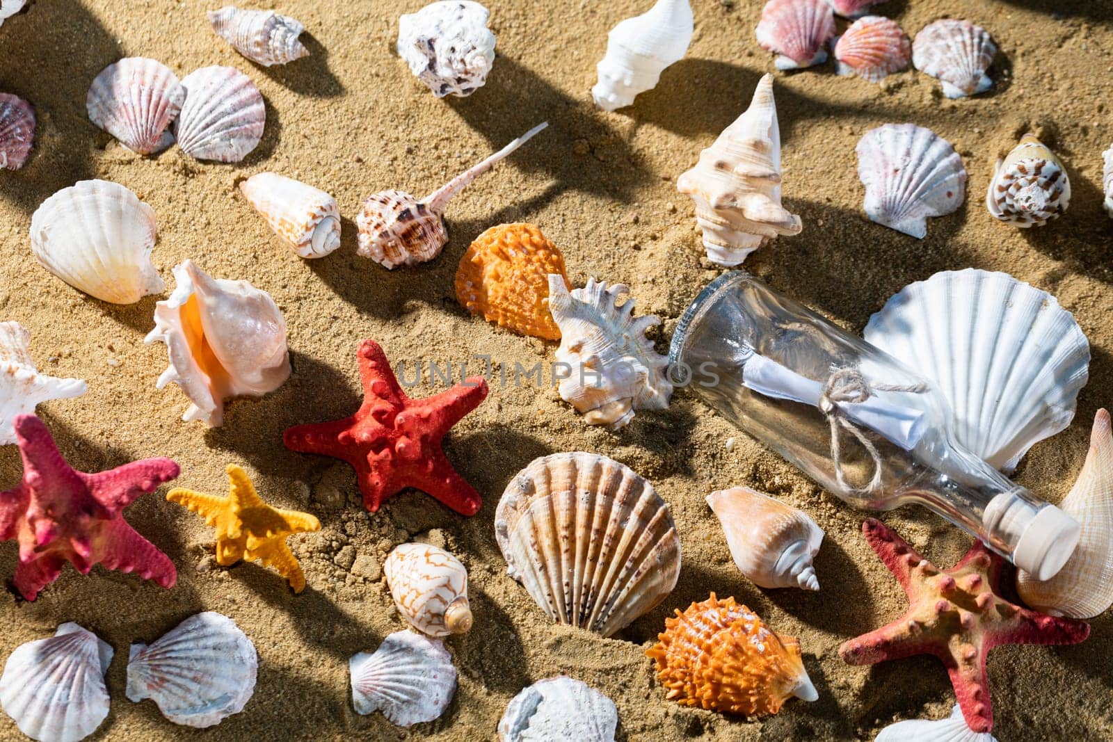 A lot of different snail shells lie on the sandy sea beach on a hot day. by fotodrobik