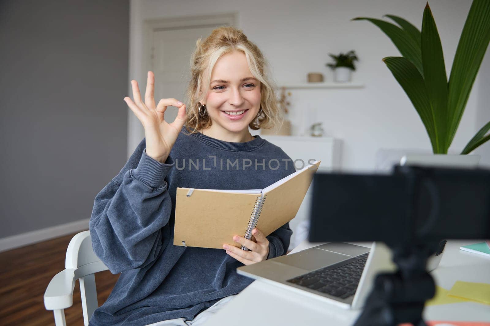 Portrait of smiling young woman, holding notebook, showing okay, ok sign, looking at digital camera, recording video, creating content.