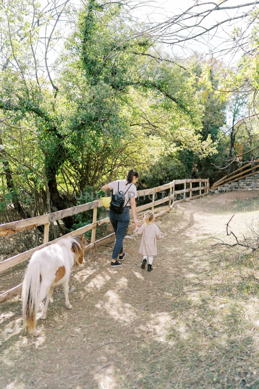 Pony follows a mother and a little girl walk holding hands along a fence in the park. Back view by Nadtochiy