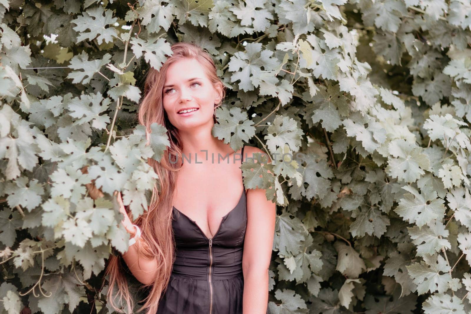 Woman travel winery. Portrait of happy woman holding glass of wine and enjoying in vineyard. Elegant young lady in hat toasting with wineglass smiling cheerfully enjoying her stay at vineyard. by panophotograph