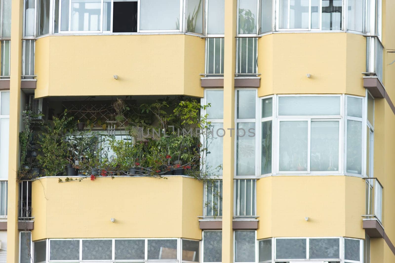 A yellow building with a balcony and a green roots insidef. The balcony has a potted plant on it