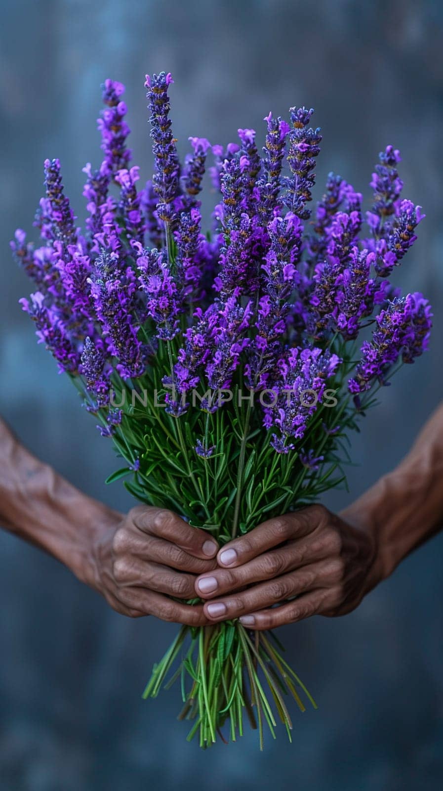 Hand holding a bouquet of lavender, evoking natural beauty and relaxation.